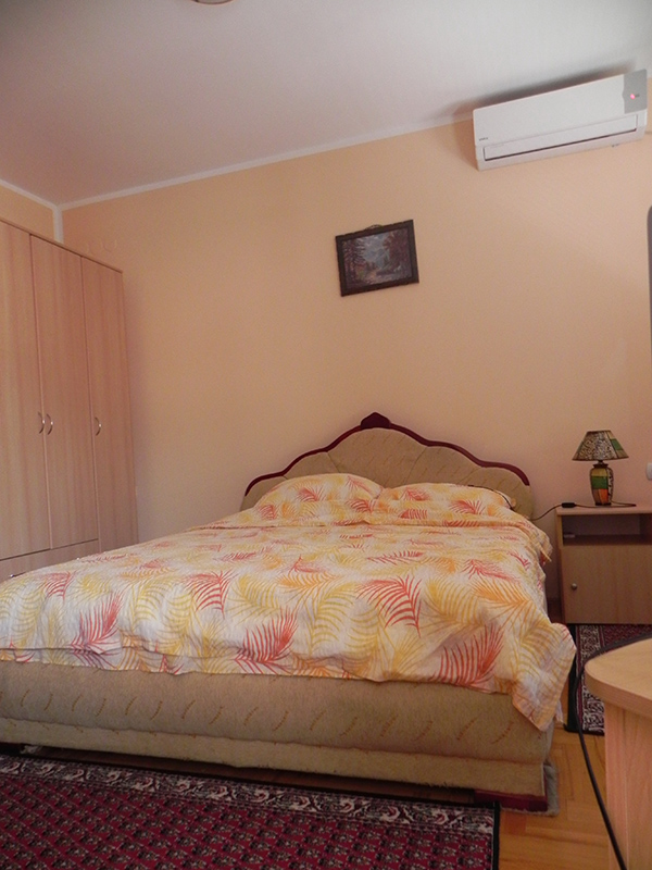 Apartmani Sokobanja 22